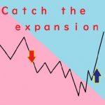 catch-the-ｅxpansion