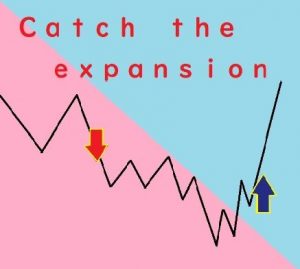 catch-the-ｅxpansion