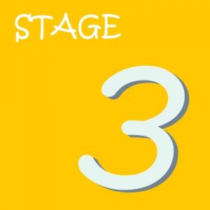 stage3