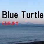 Blue Turtle_EURJPY_H4_1.00