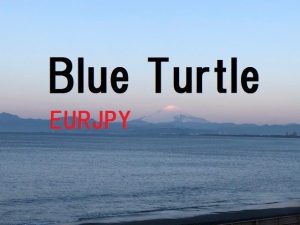 Blue Turtle_EURJPY_H4_1.00