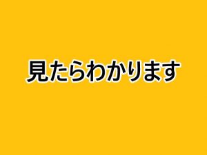 Du-R【新作サインツール】