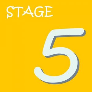 STAGE5