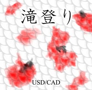 滝登り USDCAD refined