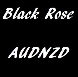 BlackRose_AUDNZD