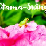 Otama-Swing