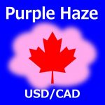 Purple Haze USDCAD