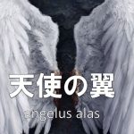 天使の翼「angelus alas」【インジケーター】