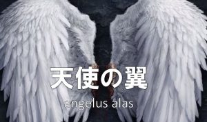 天使の翼「angelus alas」【インジケーター】