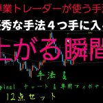 FXで勝ちたい！専業トレーダーが使う手法！手法が４つ入ってます