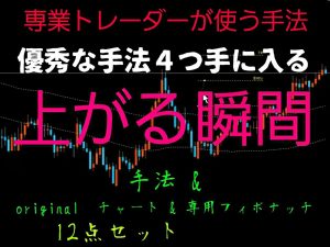 FXで勝ちたい！専業トレーダーが使う手法！手法が４つ入ってます