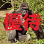 【優待版】Aggressive_Scalper_M1_USDJPY
