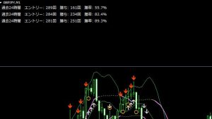 バイナリーオプション FXの仕組みが分かるツール プレミアムバージョン