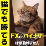 サインツール猫でも勝てる（FXorBO）