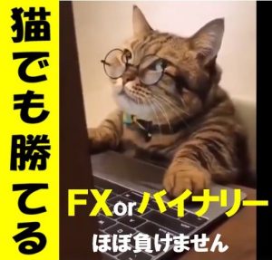 サインツール猫でも勝てる（FXorBO）