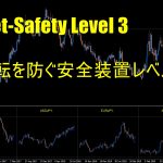 月間200pips エントリー後の「反転」を極限に減らす装置 】4通貨比較版　Viet-Safety Level 3