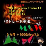 M&W 最強のハーモニックトレード