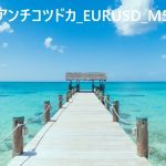 アンチコツドカ_EURUSD_M5