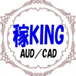 稼KING AUDCAD