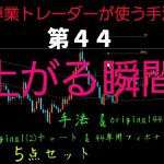 FXで勝ちたい！私の手法第44、勝ち組になる方法教えます