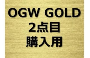 OGW GOLD ver.2　2点目用