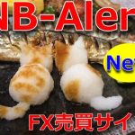 MT4売買サインツール《New＿Box＿Alert》