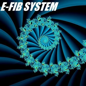 E-FIB SYSYTEM