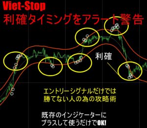 利確・損切タイミング特化型攻略ツール　Viet-Stop