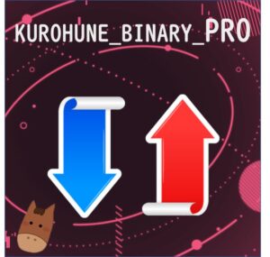 KUROHUNE_BINARY_PRO