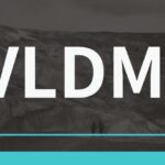 VLDMI