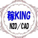 稼KING NZDCAD