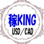 稼KING USDCAD