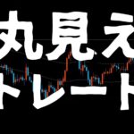 丸見えトレード 手法プラス