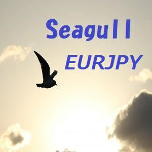 Seagull_EURJPY_M5