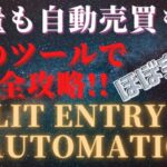 Split entry EA Automatic ver1.0