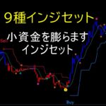 【小資金対応】９種インジ付き　小資金を短期間で膨らます専業パック 2022