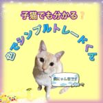 子猫でも分かる色でシンプルトレードくん