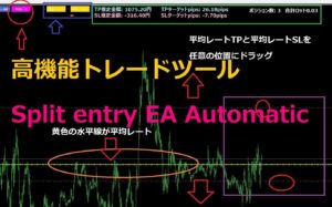 Split entry EA Automatic（サブスクリプション）