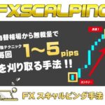 FX 刈り取りスキャルピング 為替相場から無裁量で毎回１～5pipsを刈り取るトレード手法 【スキャルピング・デイトレード サインツールやシグナルツールを使用して利確や損切り】