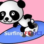 Surfing FX RCI