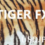 TIGER FX USDJPY