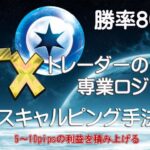 FX トレーダーの専業ロジック 5～10pipsの利益を積み上げる 無裁量のサインツール / シグルによりFXのスキャルピングやデイトレード手法でシステムトレード系の投資や副業として推奨