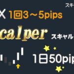 FX Scalper -スキャルパー- 1回3～5pips 1日50pips FXのスキャルピング・デイトレード手法 サインツールで順張りのスキャル手法 MT4でインジケーターをセット 専業も可能