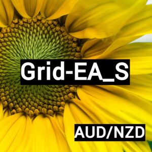 Grid-EA_S