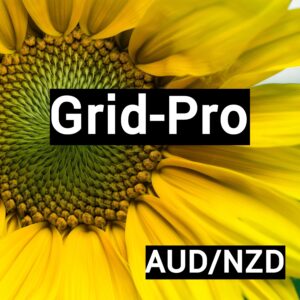 Grid-Pro