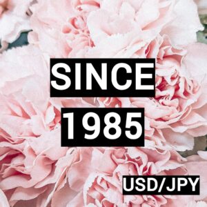 SINCE 1985 USD/JPY