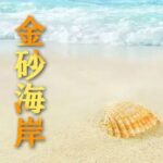 金砂海岸-ドル円専用版