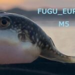 FUGU_EURJPY_M5