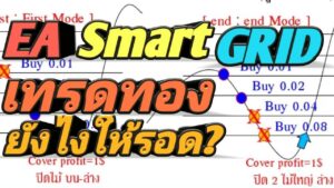 EA Smart Hedging Grid V1.0