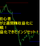 FX超初心者の妹が２週間FX収益化に挑戦！収益化できたインジセット！